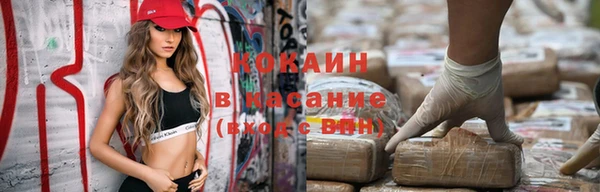 шишки Магадан