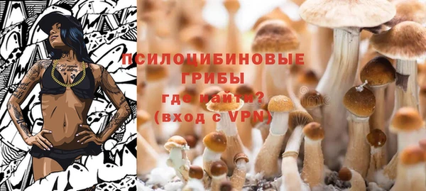 шишки Магадан
