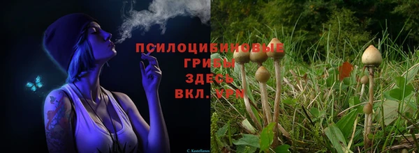 Альфа ПВП Абаза