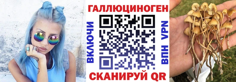 Псилоцибиновые грибы GOLDEN TEACHER  купить наркоту  Ангарск 